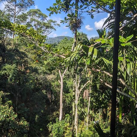 Ella Jungle Inn Homestay And Tree House Exteriér fotografie