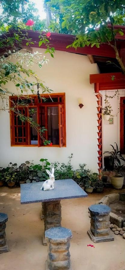 Ella Jungle Inn Homestay And Tree House Exteriér fotografie