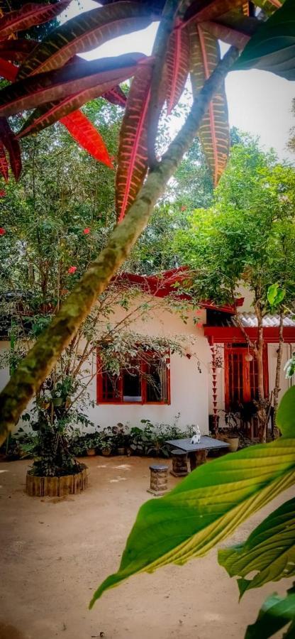 Ella Jungle Inn Homestay And Tree House Exteriér fotografie