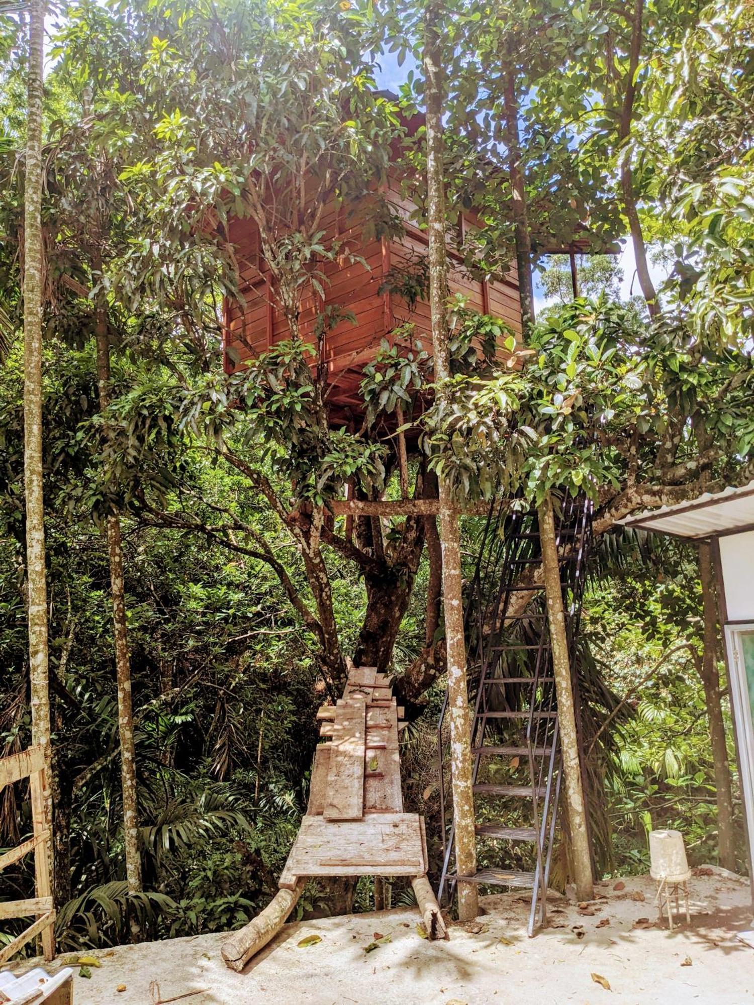 Ella Jungle Inn Homestay And Tree House Exteriér fotografie