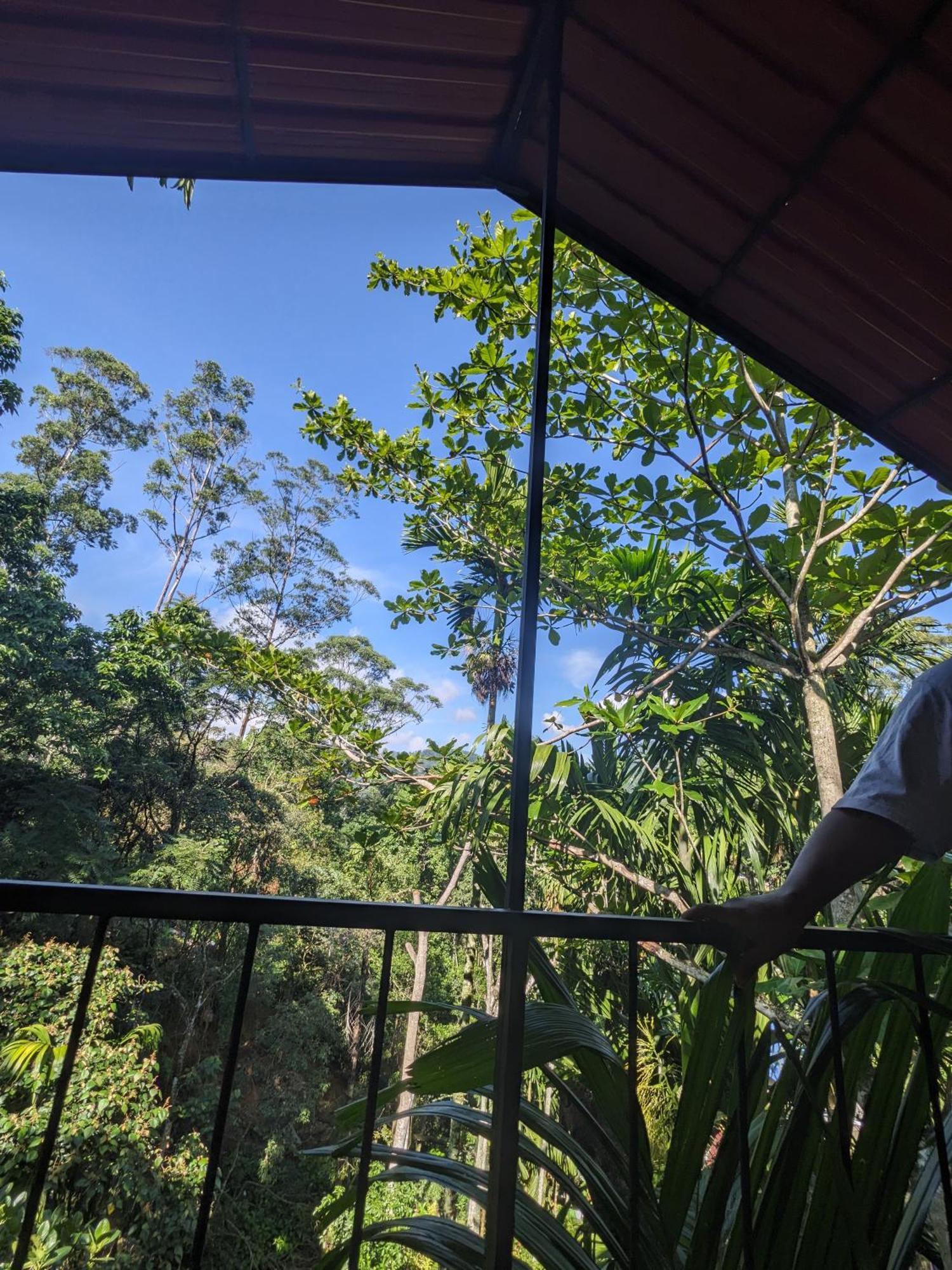 Ella Jungle Inn Homestay And Tree House Exteriér fotografie