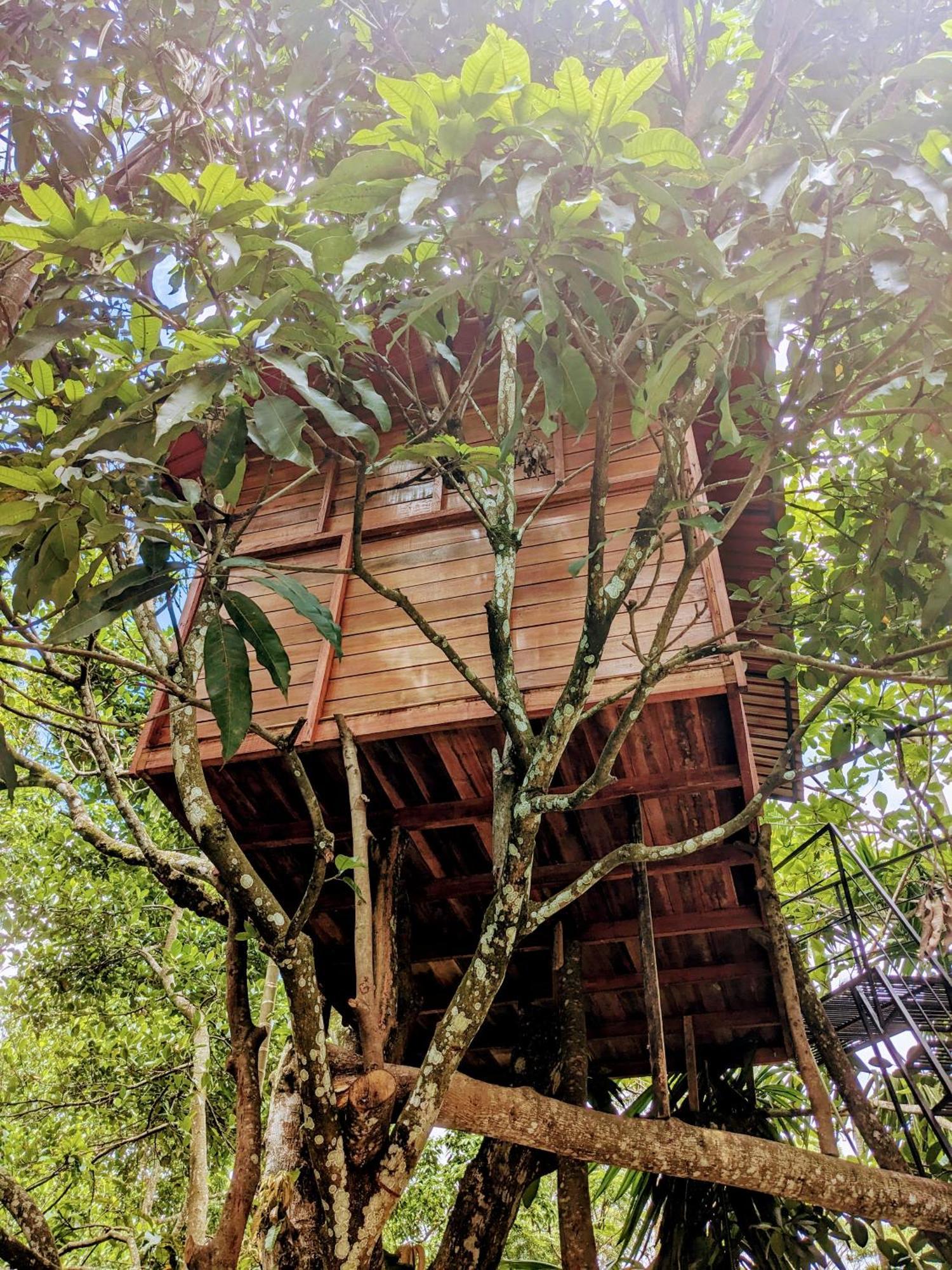 Ella Jungle Inn Homestay And Tree House Exteriér fotografie
