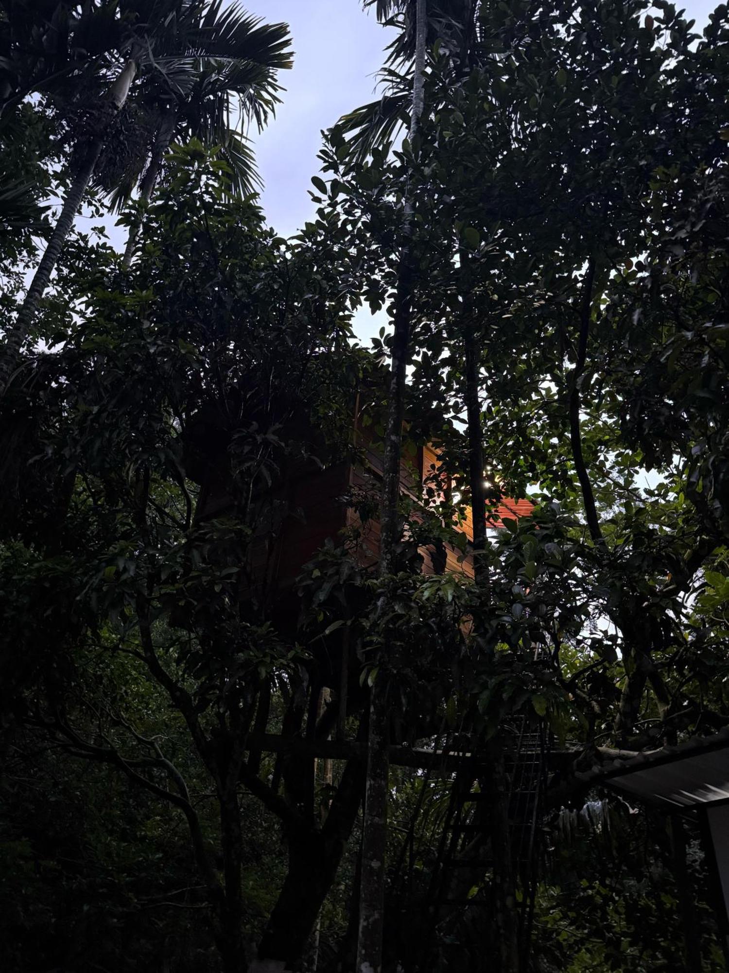 Ella Jungle Inn Homestay And Tree House Exteriér fotografie