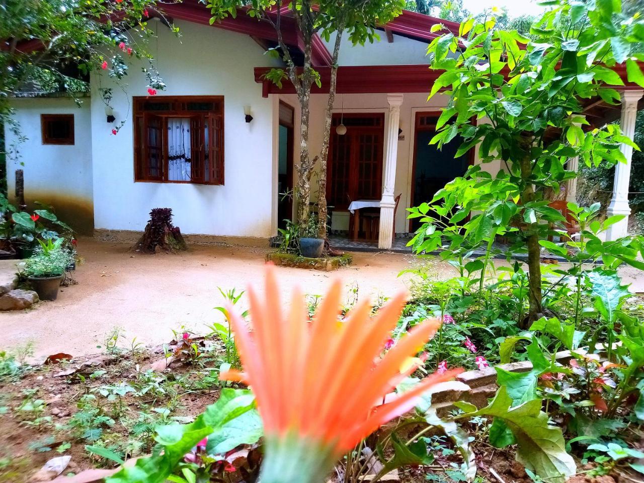 Ella Jungle Inn Homestay And Tree House Exteriér fotografie