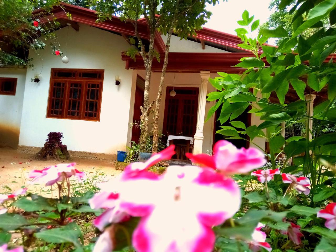Ella Jungle Inn Homestay And Tree House Exteriér fotografie