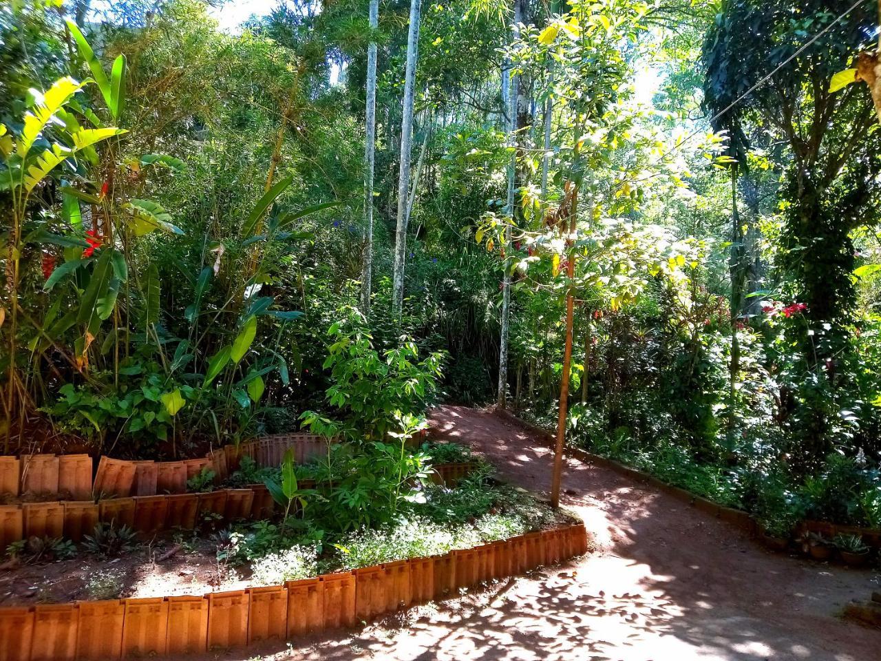 Ella Jungle Inn Homestay And Tree House Exteriér fotografie