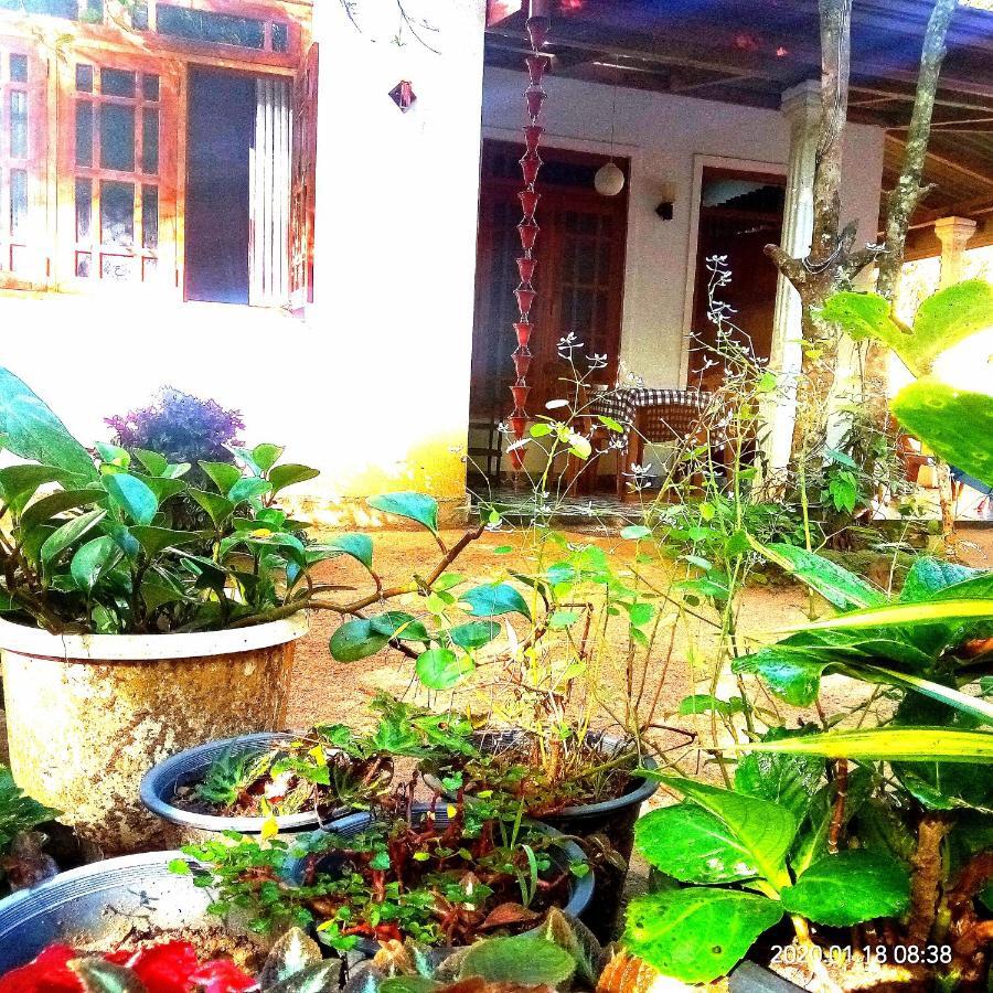 Ella Jungle Inn Homestay And Tree House Exteriér fotografie